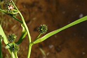 IMG_1026