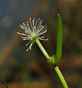 IMG_2043