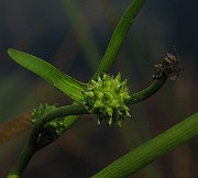 IMG_2055
