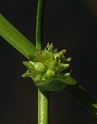 IMG_2061