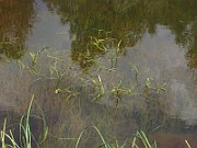 IMG_2073