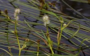 IMG_1865
