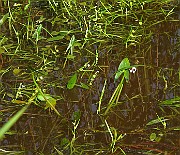 IMG_2817