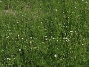 IMG_2107