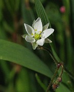 IMG_6177
