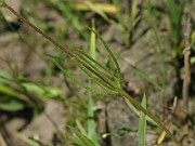 IMG_6178