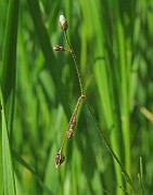 IMG_6180