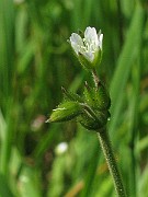 IMG_6182