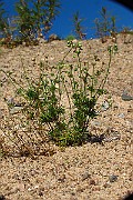 IMG_3819