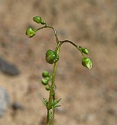 IMG_3821
