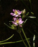 IMG_1191