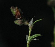 IMG_1625