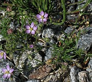 IMG_1630