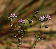 IMG_6248