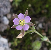 IMG_8107