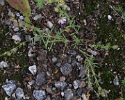 IMG_8108