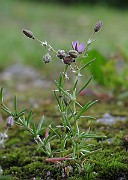 IMG_8112