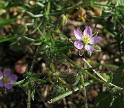 IMG_3509