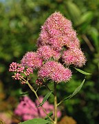 IMG_1573