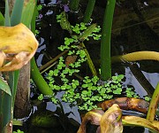 IMG_3001