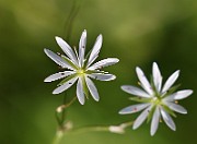 IMG_0179