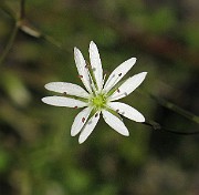 IMG_2254