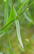 IMG_2508