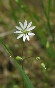 IMG_2517