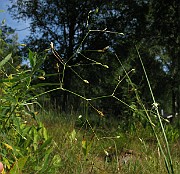 IMG_4248