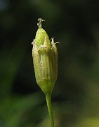 IMG_4249