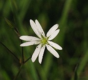 IMG_6965