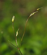 IMG_6970