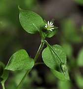 IMG_1600