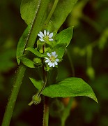 IMG_6406