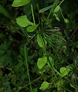 IMG_6417