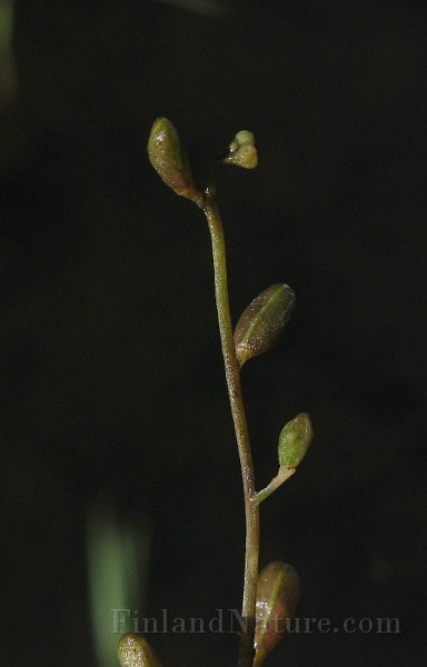 IMG_4983.JPG