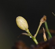 IMG_3921