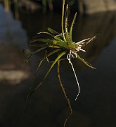 IMG_4986