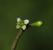 IMG_6281