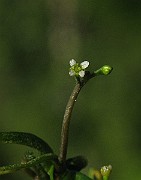 IMG_6282