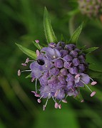 IMG_3565