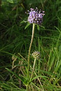 IMG_3566