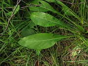 IMG_3568