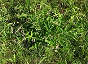 IMG_1830