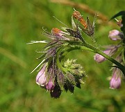 IMG_1835