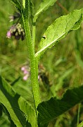 IMG_1840