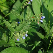 IMG_1669