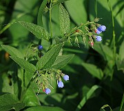 IMG_1670