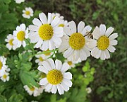 IMG_0139