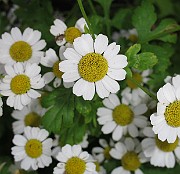 IMG_0144